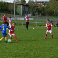 U11-d